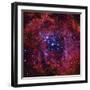 The Rosette Nebula-Stocktrek Images-Framed Premium Photographic Print