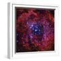 The Rosette Nebula-Stocktrek Images-Framed Premium Photographic Print