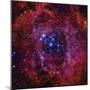 The Rosette Nebula-Stocktrek Images-Mounted Premium Photographic Print