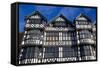 The Rows on Bridge Street, Chester, Cheshire, England, United Kingdom, Europe-Frank Fell-Framed Stretched Canvas