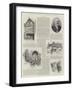 The Royal Agricultural Society at Chester-null-Framed Giclee Print