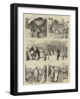 The Royal Agricultural Society's Meeting at Wolverhampton-Edward Frederick Brewtnall-Framed Giclee Print