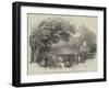 The Royal Agricultural Society's Meeting at York, the Dinner Pavilion, from the New-Walk-null-Framed Giclee Print