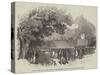 The Royal Agricultural Society's Meeting at York, the Dinner Pavilion, from the New-Walk-null-Stretched Canvas