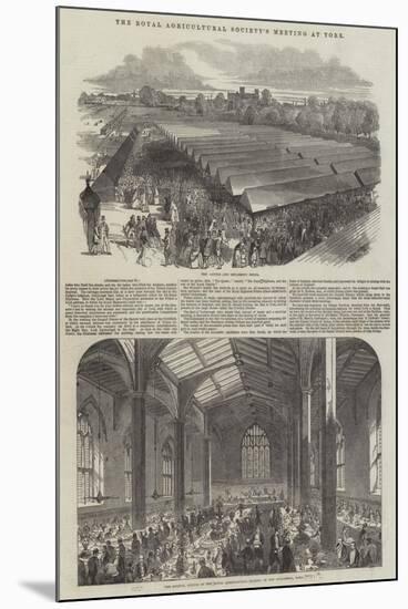 The Royal Agricultural Society's Meeting at York-null-Mounted Giclee Print