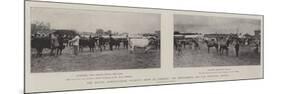 The Royal Agricultural Society's Show at Carlisle, the Sixty-Fourth and Last Provincial Meeting-null-Mounted Giclee Print