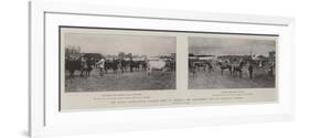 The Royal Agricultural Society's Show at Carlisle, the Sixty-Fourth and Last Provincial Meeting-null-Framed Premium Giclee Print