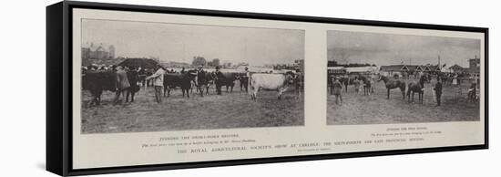 The Royal Agricultural Society's Show at Carlisle, the Sixty-Fourth and Last Provincial Meeting-null-Framed Stretched Canvas