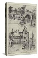 The Royal Agricultural Society's Show at Leicester, Sketches in the Town-null-Stretched Canvas