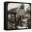 The Royal Army Medical Corps at Monchy Dressing Station, France, World War I, 1914-1918-null-Framed Stretched Canvas