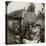 The Royal Army Medical Corps at Monchy Dressing Station, France, World War I, 1914-1918-null-Stretched Canvas
