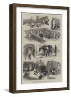 The Royal Buokhounds, Sketches of the Kennels at Ascot-null-Framed Giclee Print