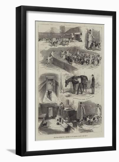 The Royal Buokhounds, Sketches of the Kennels at Ascot-null-Framed Giclee Print