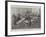 The Royal Commission on the South African War, a Sitting at Westminster-Thomas Walter Wilson-Framed Giclee Print