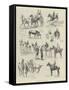 The Royal Dublin Society's Horse Show-null-Framed Stretched Canvas