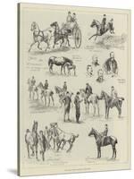 The Royal Dublin Society's Horse Show-null-Stretched Canvas