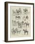 The Royal Dublin Society's Horse Show-null-Framed Giclee Print