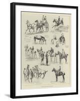 The Royal Dublin Society's Horse Show-null-Framed Giclee Print