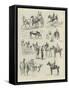 The Royal Dublin Society's Horse Show-null-Framed Stretched Canvas