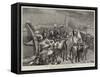 The Royal Fetes at Florence, Italy-Robert Barnes-Framed Stretched Canvas