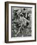 The Royal Horticultural Society's Show in the Temple Gardens-Frank Craig-Framed Giclee Print