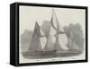 The Royal London Yacht Club Match-Edwin Weedon-Framed Stretched Canvas