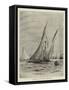 The Royal London Yacht Club Match-Charles William Wyllie-Framed Stretched Canvas