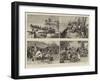 The Royal Niger Company's Expedition, Everyday Scenes on the River Niger-Charles Joseph Staniland-Framed Giclee Print