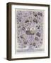 The Royal Oak Showing the Pedigree of Hrh the Duke of York-null-Framed Giclee Print