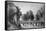 The Royal Palace and Park at Brussels.-A.H. Payne-Framed Stretched Canvas