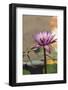 The Royal Palace, Phnom Penh, Cambodia-Robert Harding-Framed Photographic Print