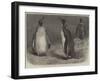 The Royal Penguin in the Zoological Society's Gardens, Regent's Park-Friedrich Wilhelm Keyl-Framed Giclee Print