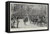 The Royal Procession from Victoria Station to Marlborough House-Frederic De Haenen-Framed Stretched Canvas