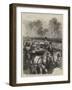 The Royal Review at Windsor, Her Majesty Driving Down the Line-Godefroy Durand-Framed Giclee Print