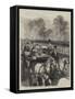 The Royal Review at Windsor, Her Majesty Driving Down the Line-Godefroy Durand-Framed Stretched Canvas