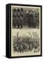 The Royal Review of the Troops from Egypt-Charles Joseph Staniland-Framed Stretched Canvas
