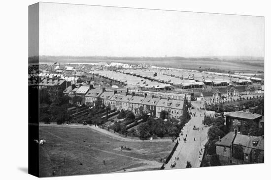 The Royal Show, Newcastle Upon Tyne, 1908-George Frank-Stretched Canvas