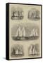 The Royal Thames Yacht Club Race-Walter William May-Framed Stretched Canvas