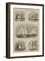 The Royal Thames Yacht Club Race-Walter William May-Framed Giclee Print