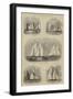 The Royal Thames Yacht Club Race-Walter William May-Framed Giclee Print