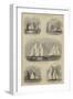 The Royal Thames Yacht Club Race-Walter William May-Framed Giclee Print