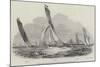 The Royal Thames Yacht Club, Sailing Match-null-Mounted Premium Giclee Print