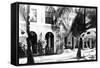 The Royal Victoria Hotel, Nassau, Bahamas, C1900s-null-Framed Stretched Canvas