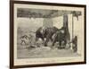 The Royal Visit to India, Baroda, the Elephant Fight in the Arena before the Prince of Wales-Samuel Edmund Waller-Framed Giclee Print