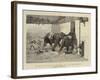 The Royal Visit to India, Baroda, the Elephant Fight in the Arena before the Prince of Wales-Samuel Edmund Waller-Framed Giclee Print