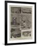 The Royal Visit to India, Bombay, Some of the Illuminations-null-Framed Giclee Print