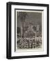 The Royal Visit to India, Illuminations on the Road to Parell-null-Framed Giclee Print