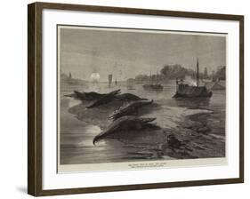 The Royal Visit to India, the Ganges-null-Framed Giclee Print