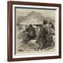 The Royal Visit to India, the Prince of Wales Shooting His First Tiger at Jeypore, First Shot-null-Framed Giclee Print