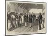 The Royal Visit to India, the Reception of the Viceroy at Boree Bunder Station, Bombay-William Ralston-Mounted Giclee Print